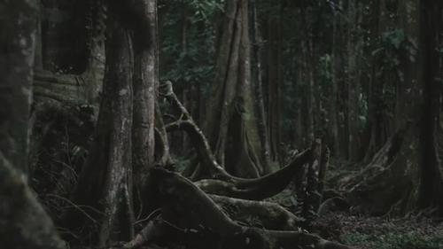Screenshot+2018-01-21+at+2.06.52+PM.png