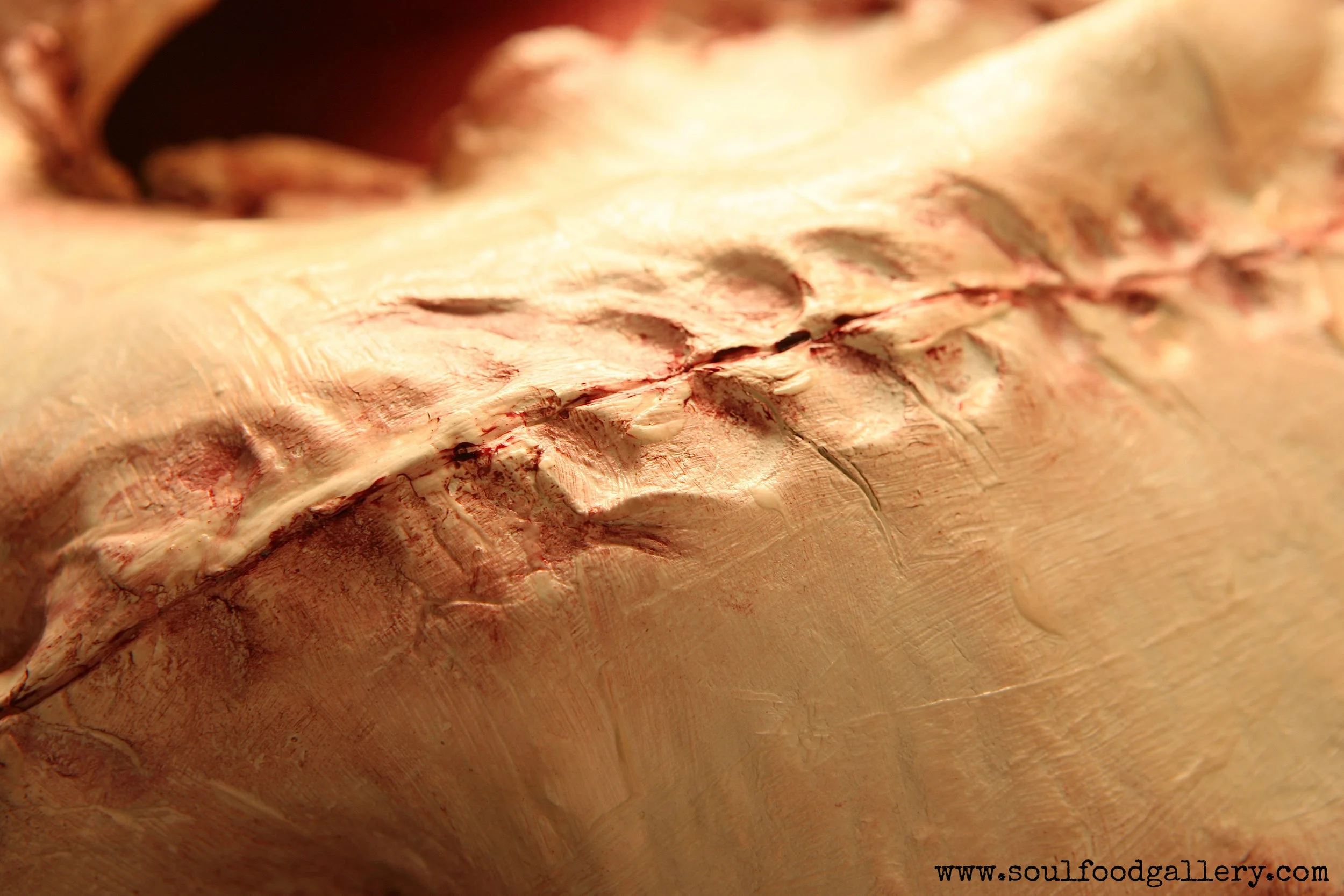 Tissue Development16B.jpg