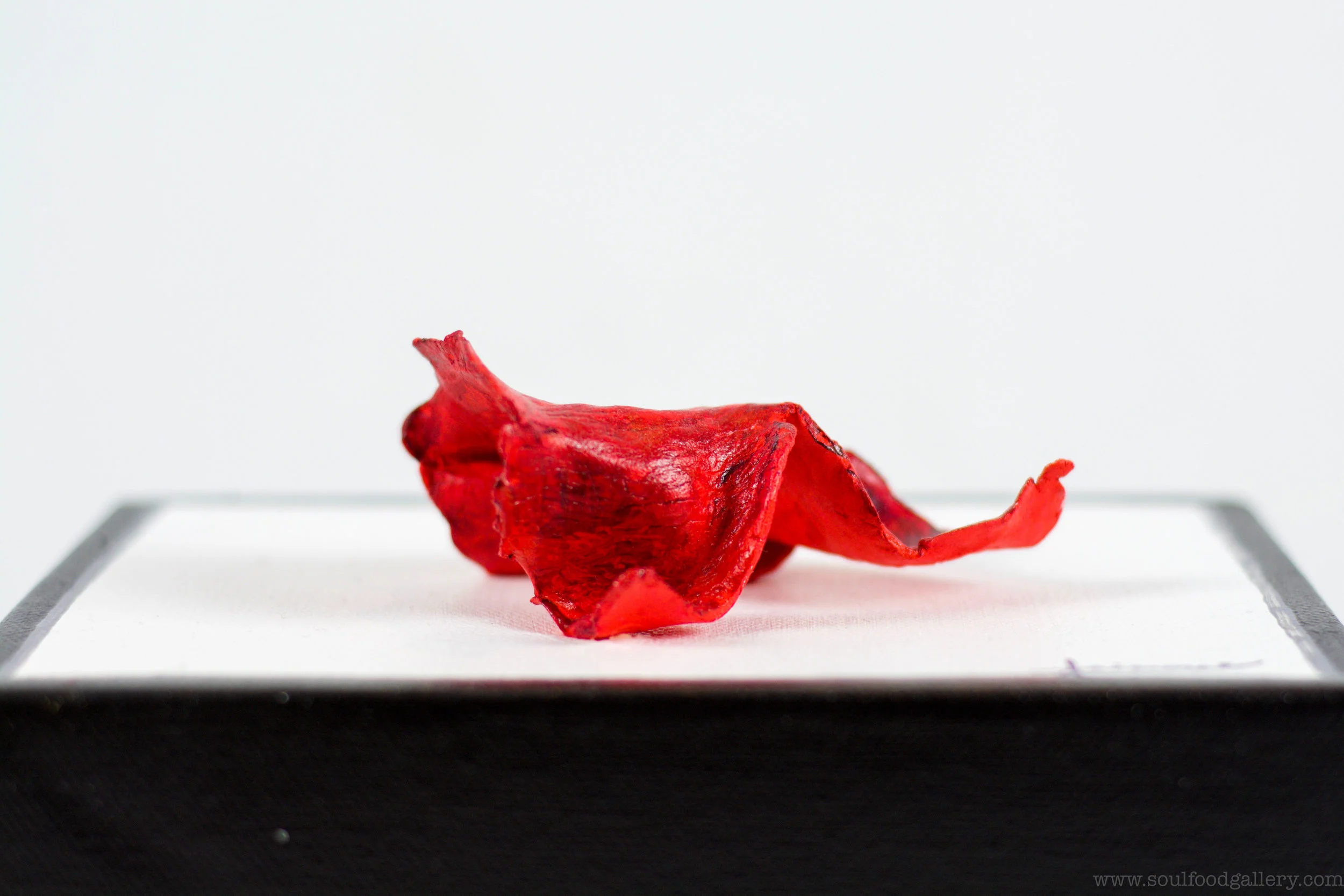 The No Part 33AA.jpg