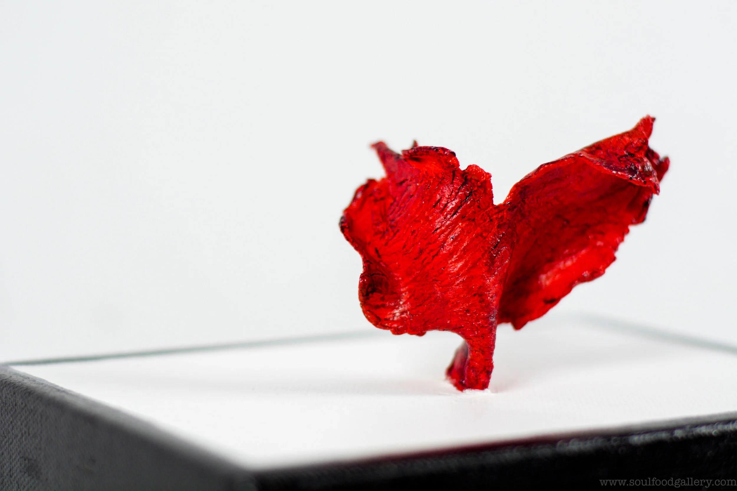 The No Part 33BA.jpg