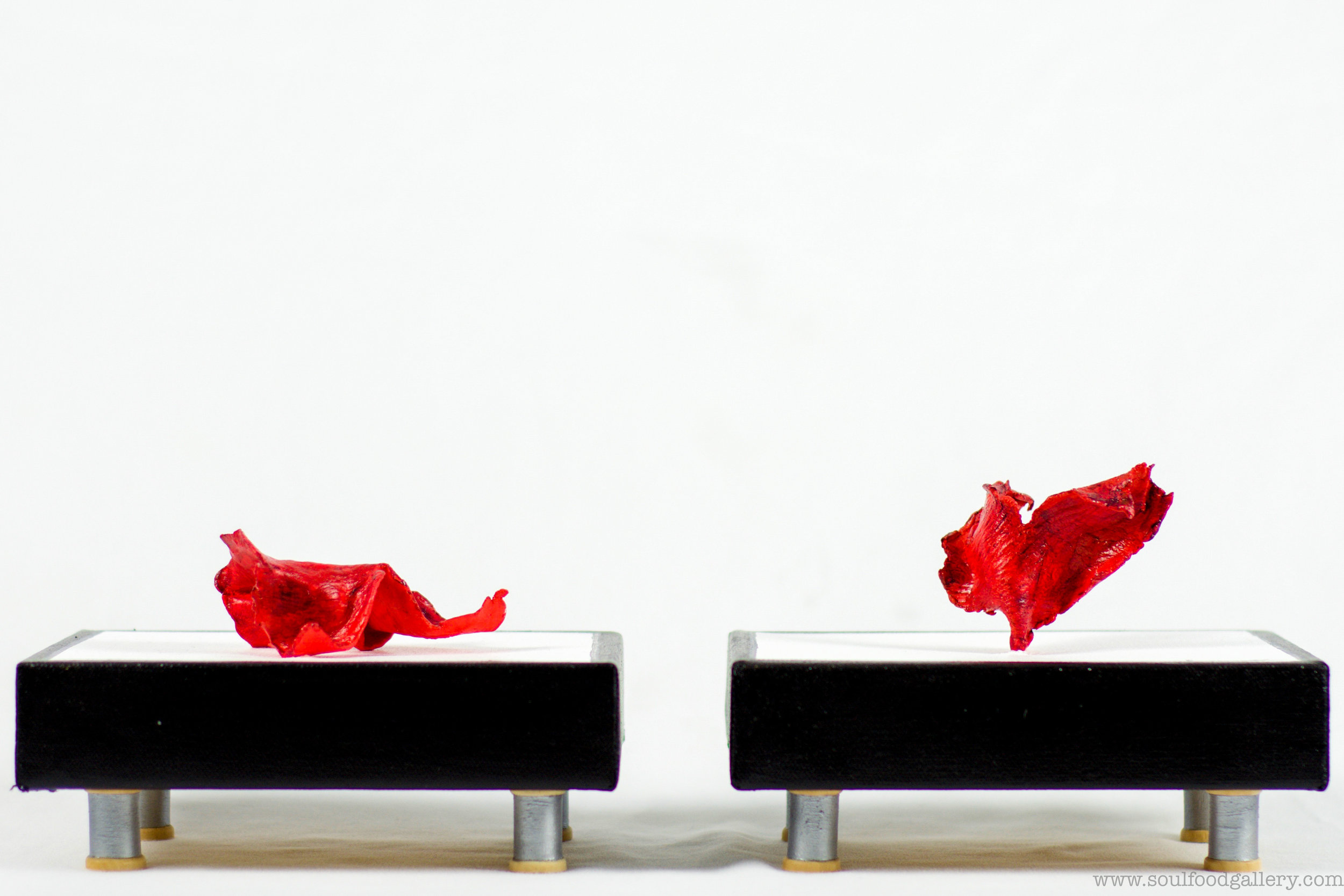 The No Part 33FullA_.jpg