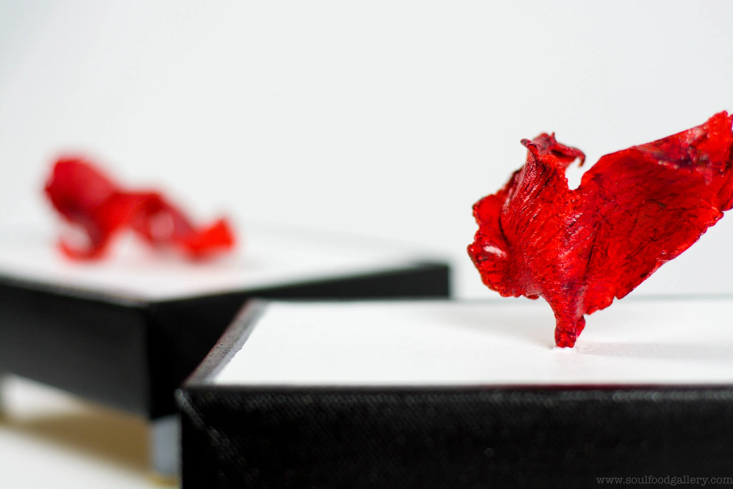 The No Part 33FullC.jpg