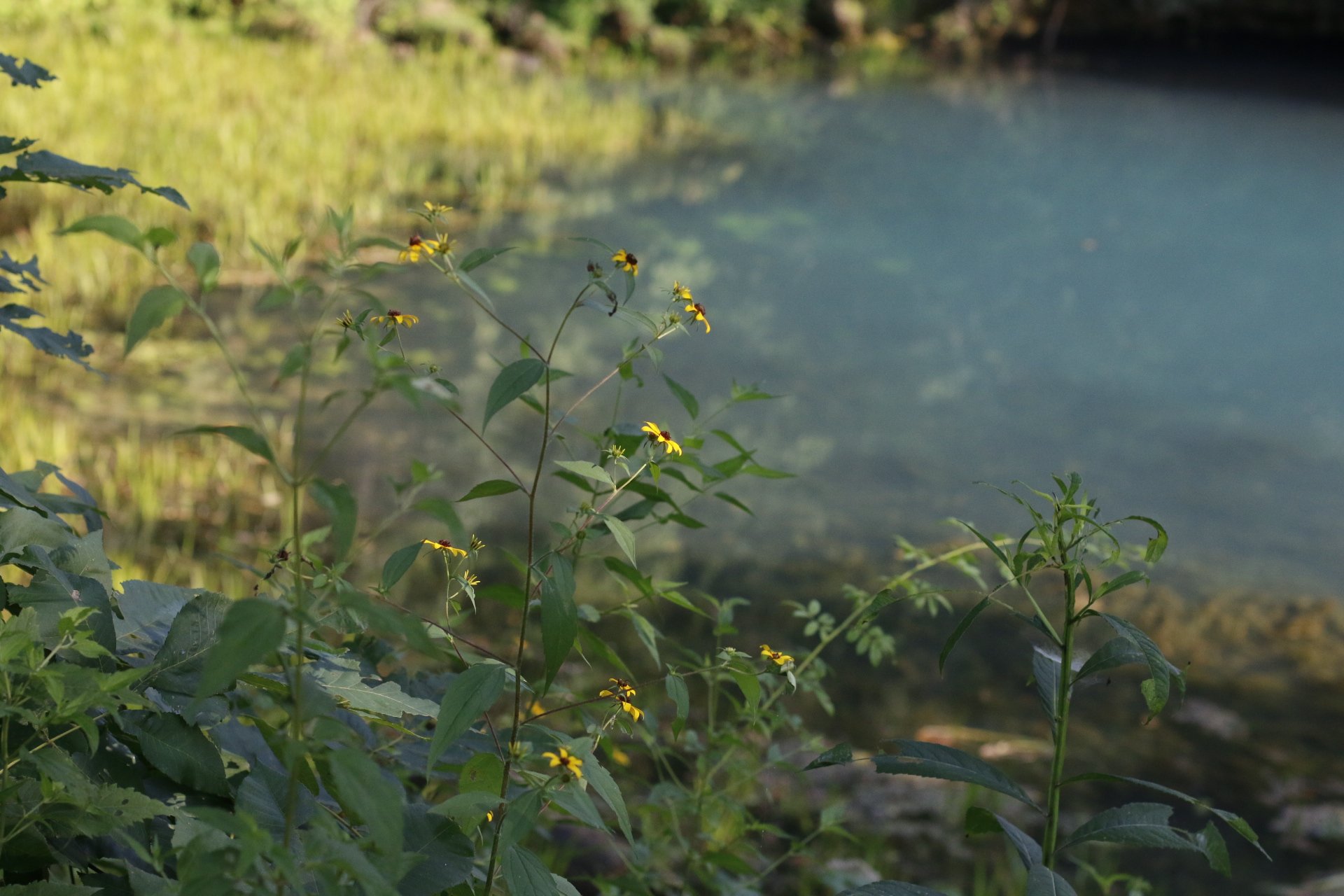 _MG_5918.JPG