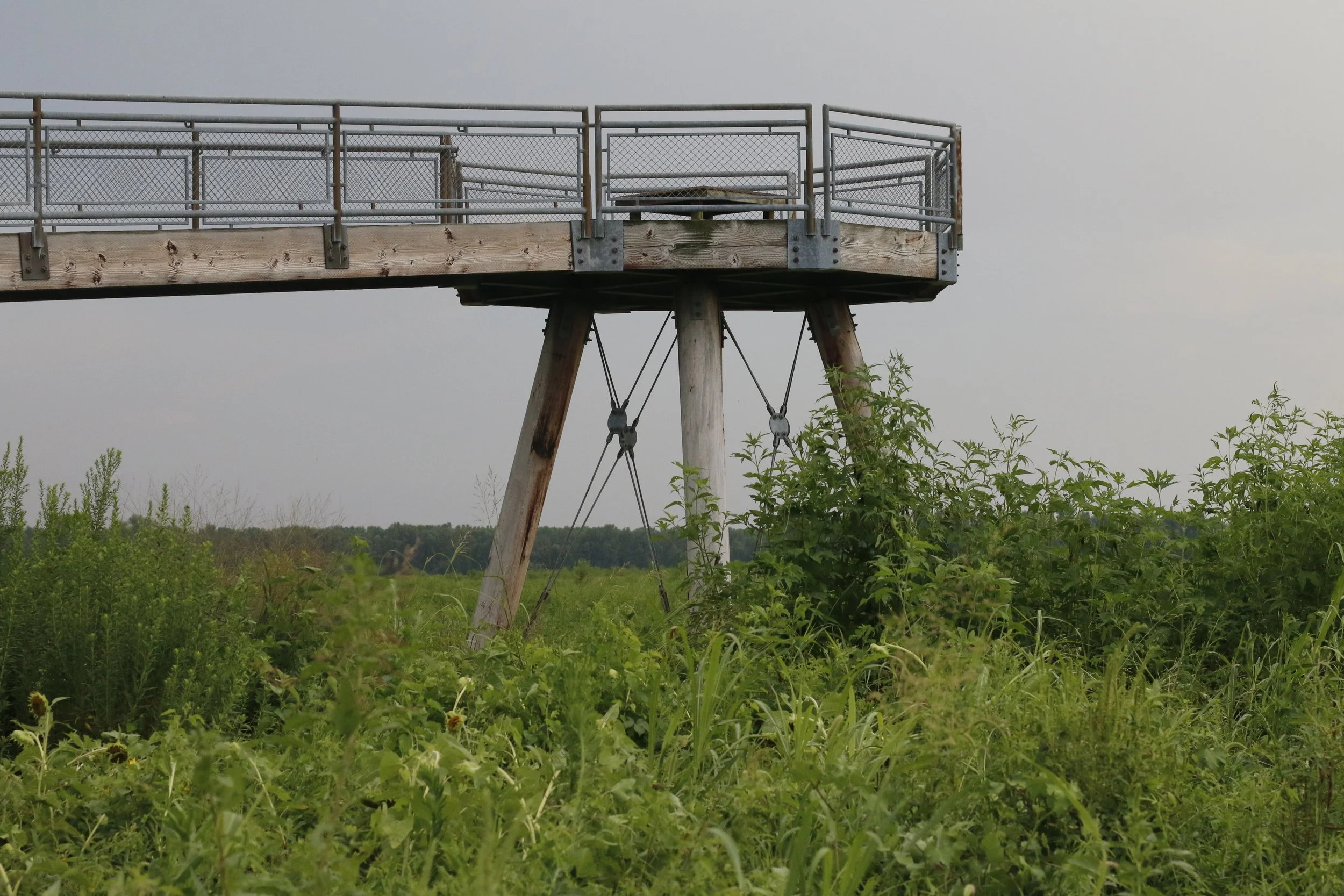 _MG_5154.JPG