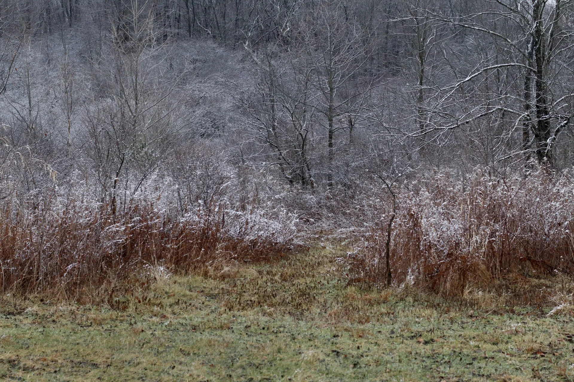 _MG_5300.JPG
