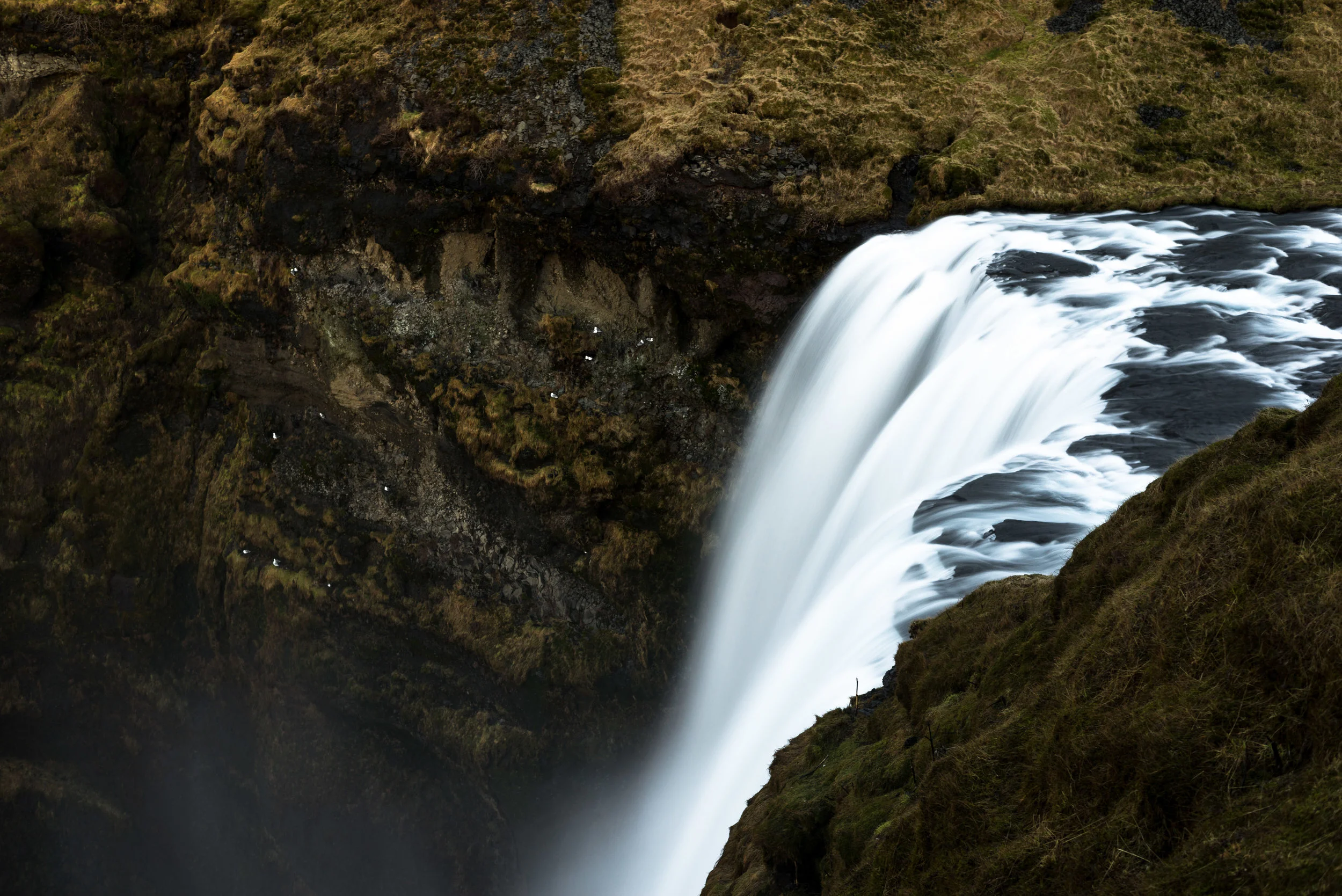 _DSC2052.jpg