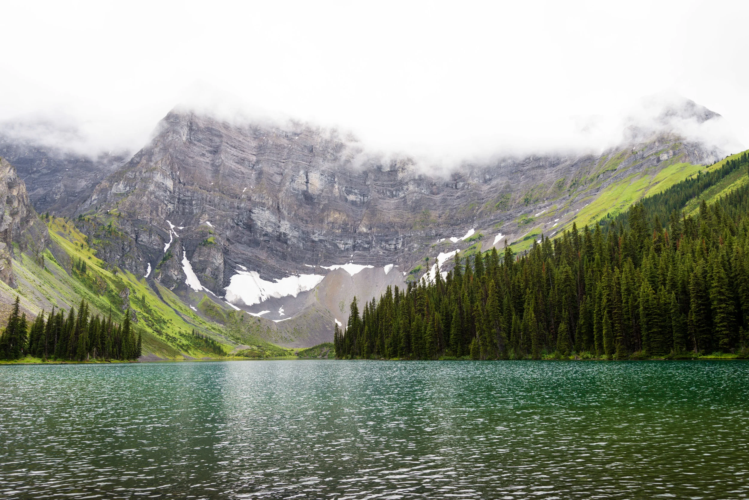 DSC_2478-2.jpg
