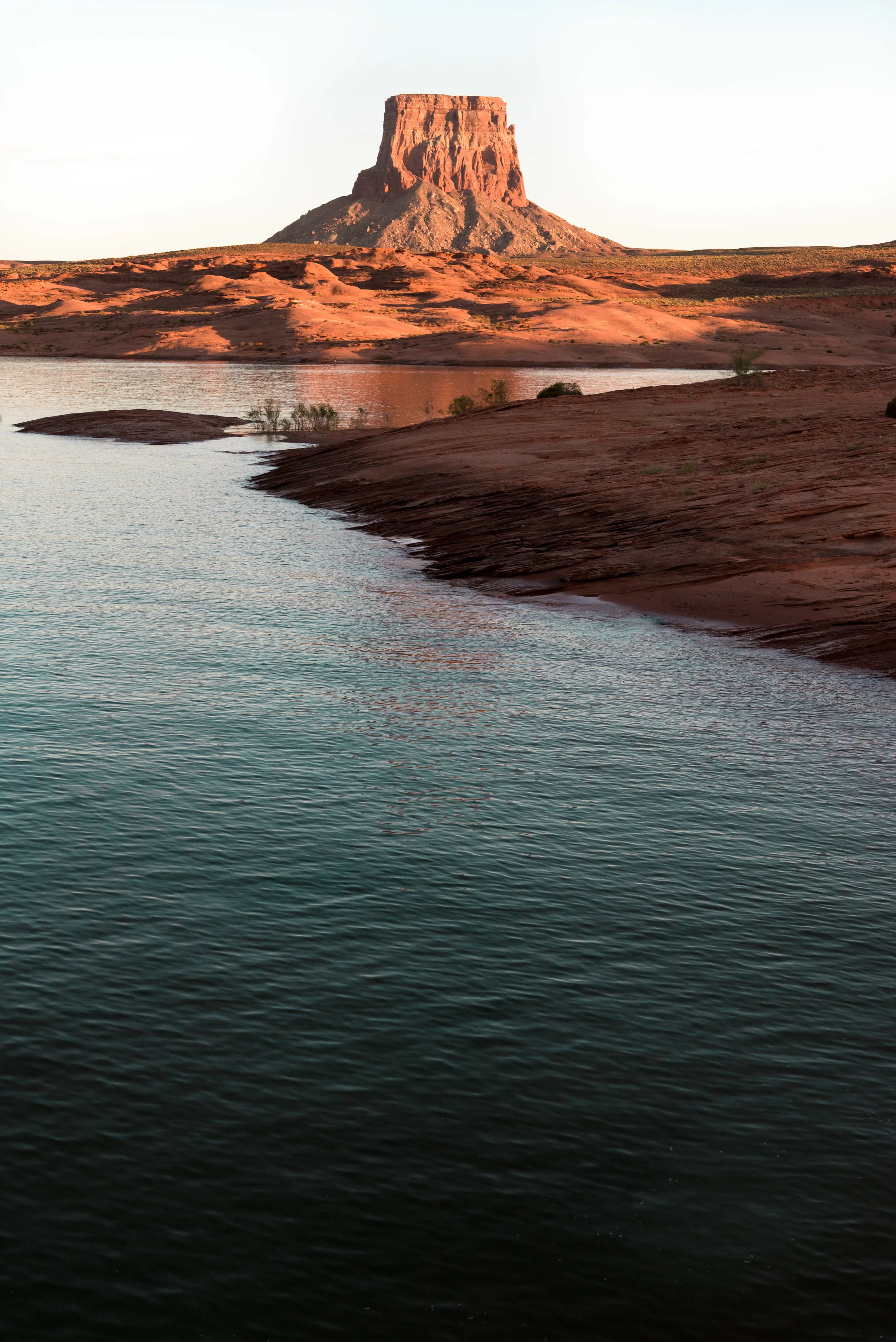 _DSC5608.jpg