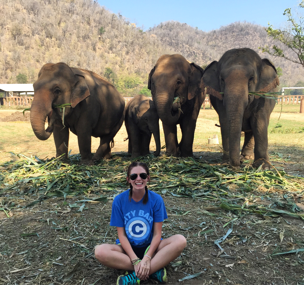 elephant-nature-park.png