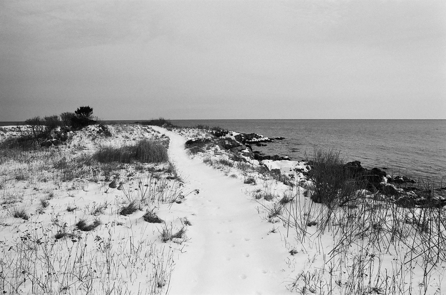View to the North from Surf Point. Photo by Danny Gugger.