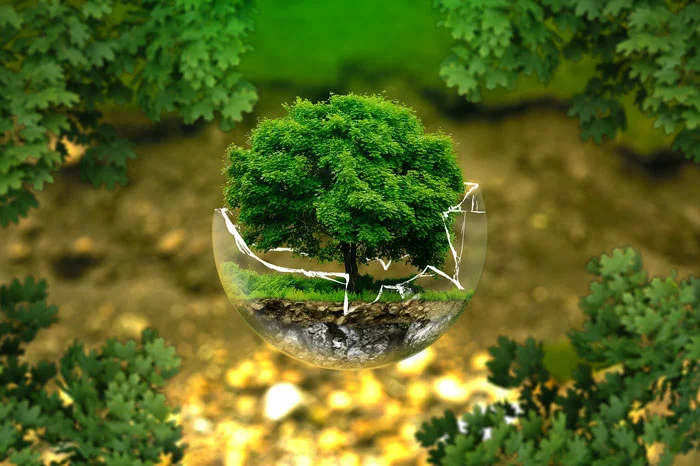 Green-packaging-broken-700.jpg