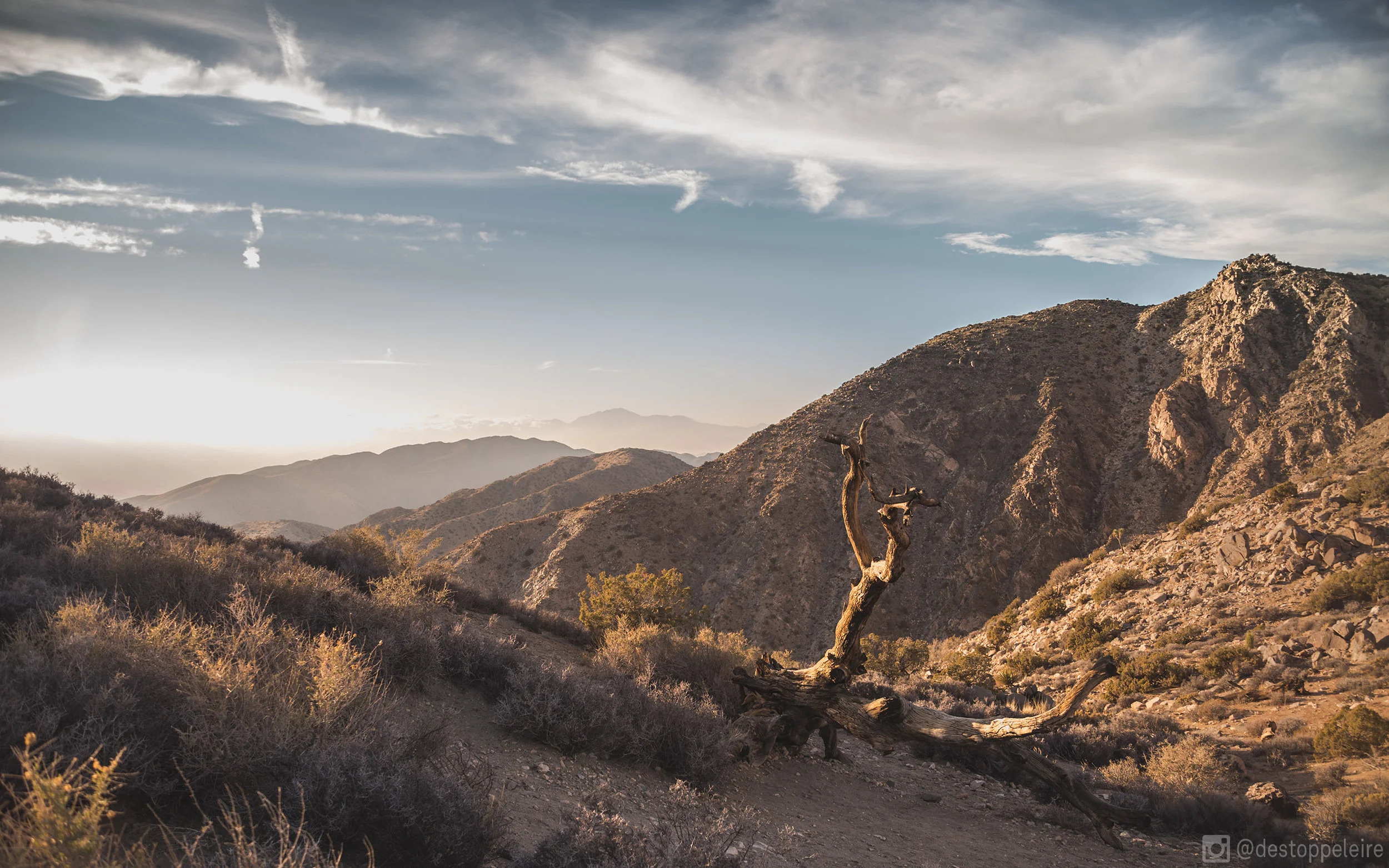 mojave_mountain_stick_view_bg_2560_1600.jpg