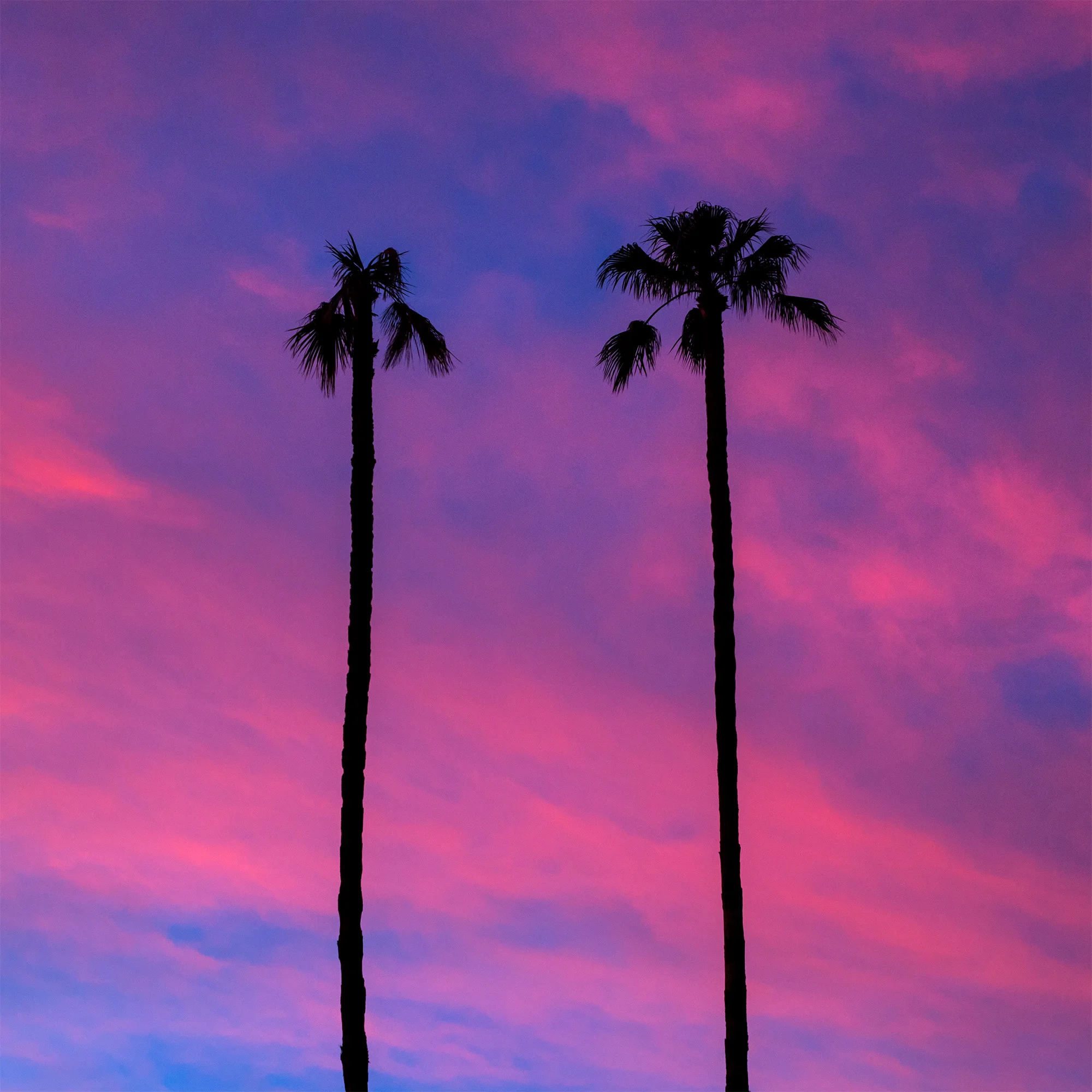 the_sunset.jpg