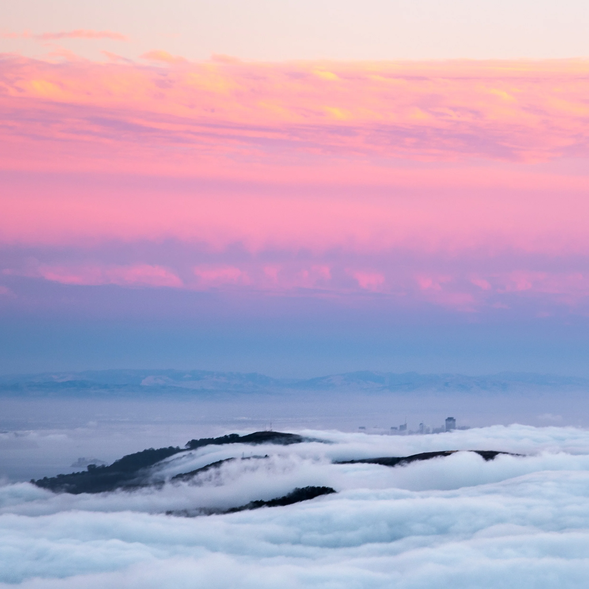 cottoncandy_oakland.jpg