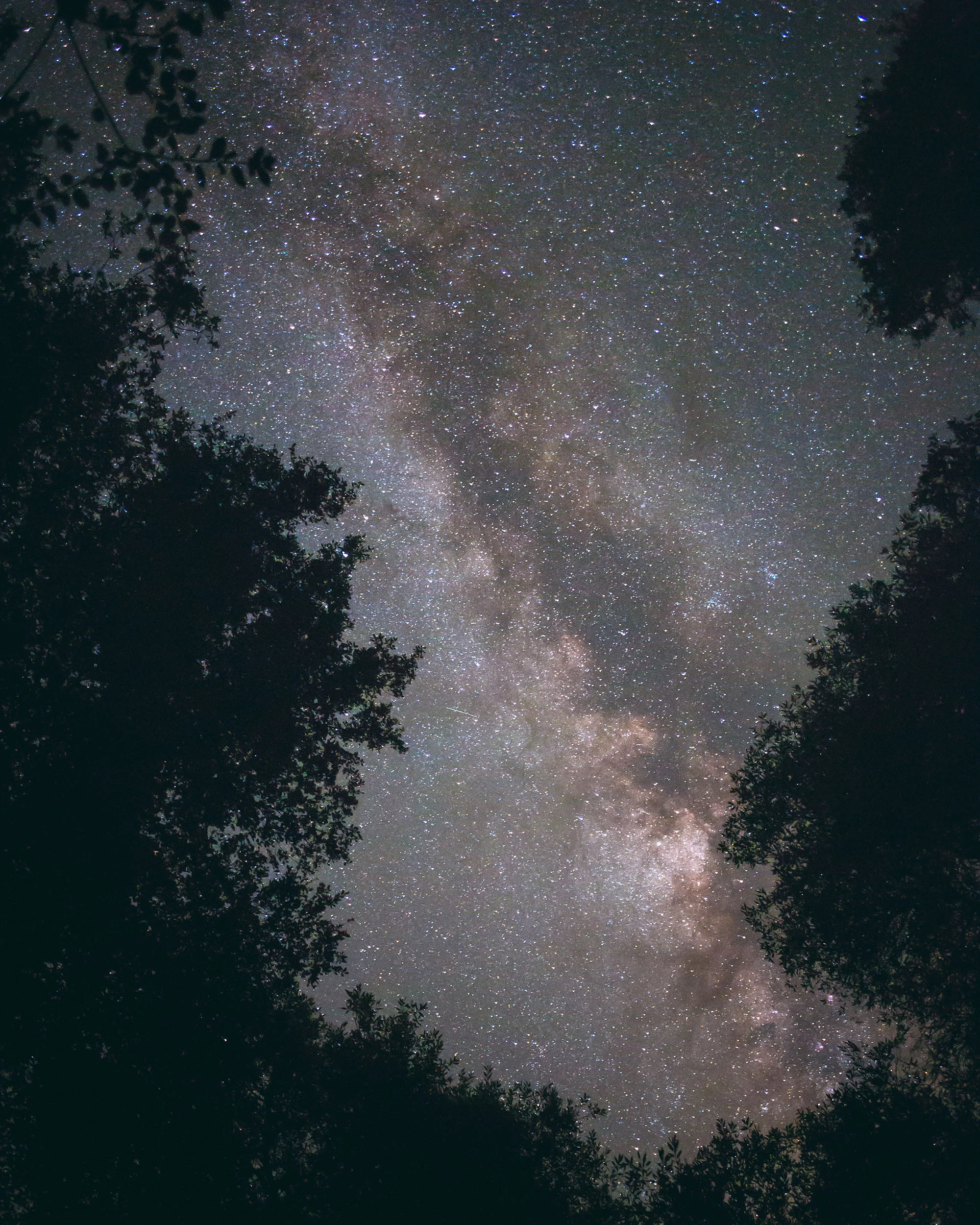 pinnacles_milkyway.jpg