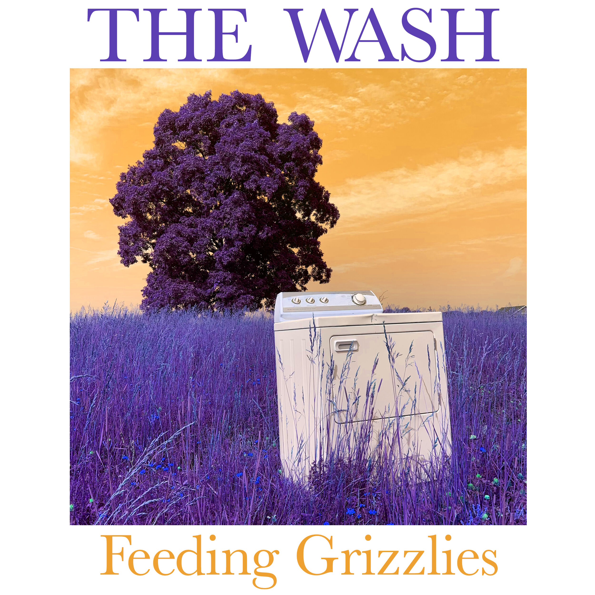 $10 - "The Wash" CD