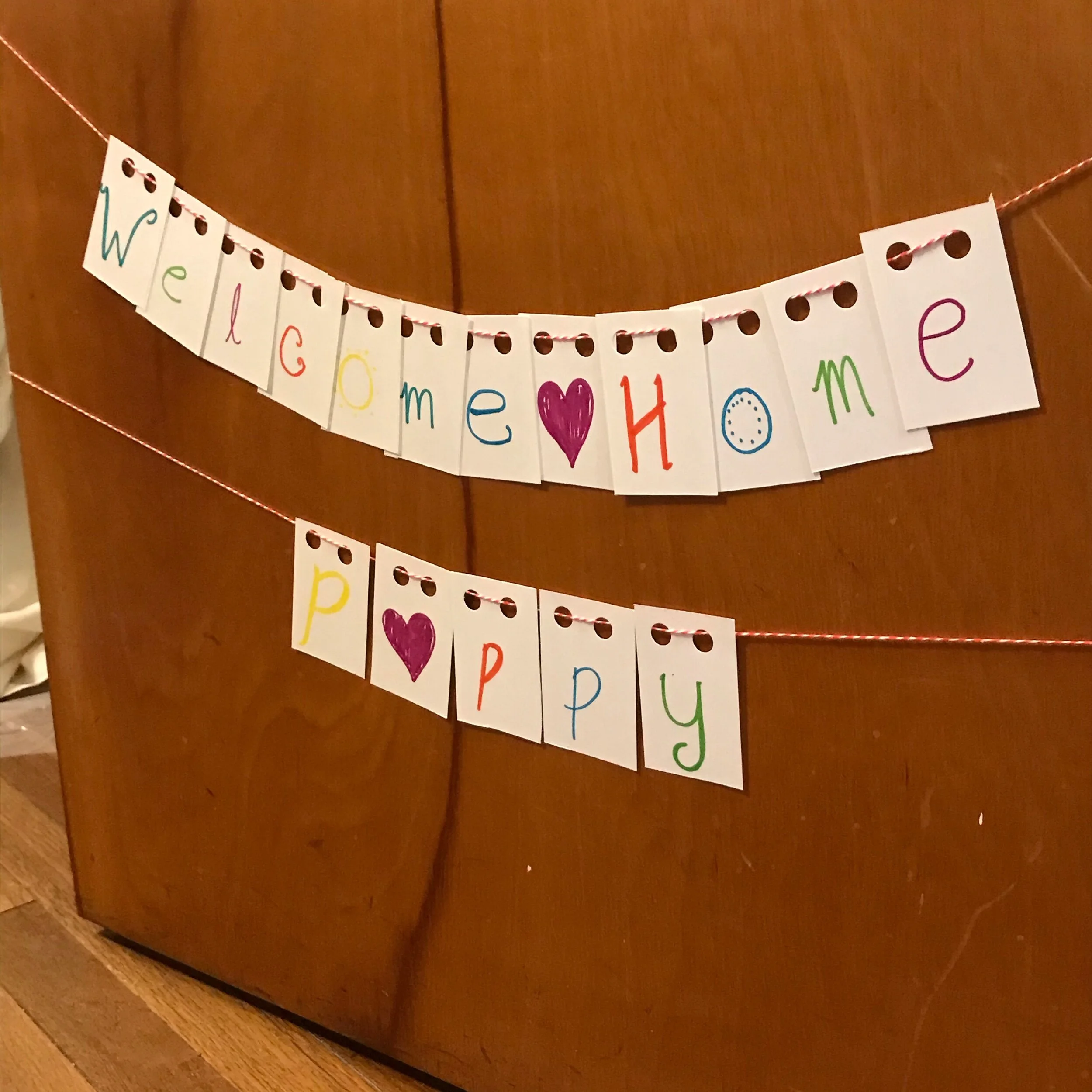 Diaries of a House Chicken Part 5: Sleep Away Camp 