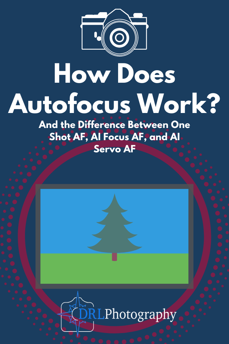 Wat Is Autofocus? : Autofocus and Autofocus Modes Explained for ...