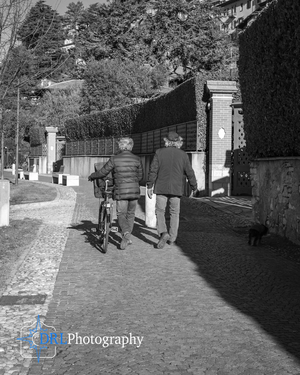 _90I9348.jpg