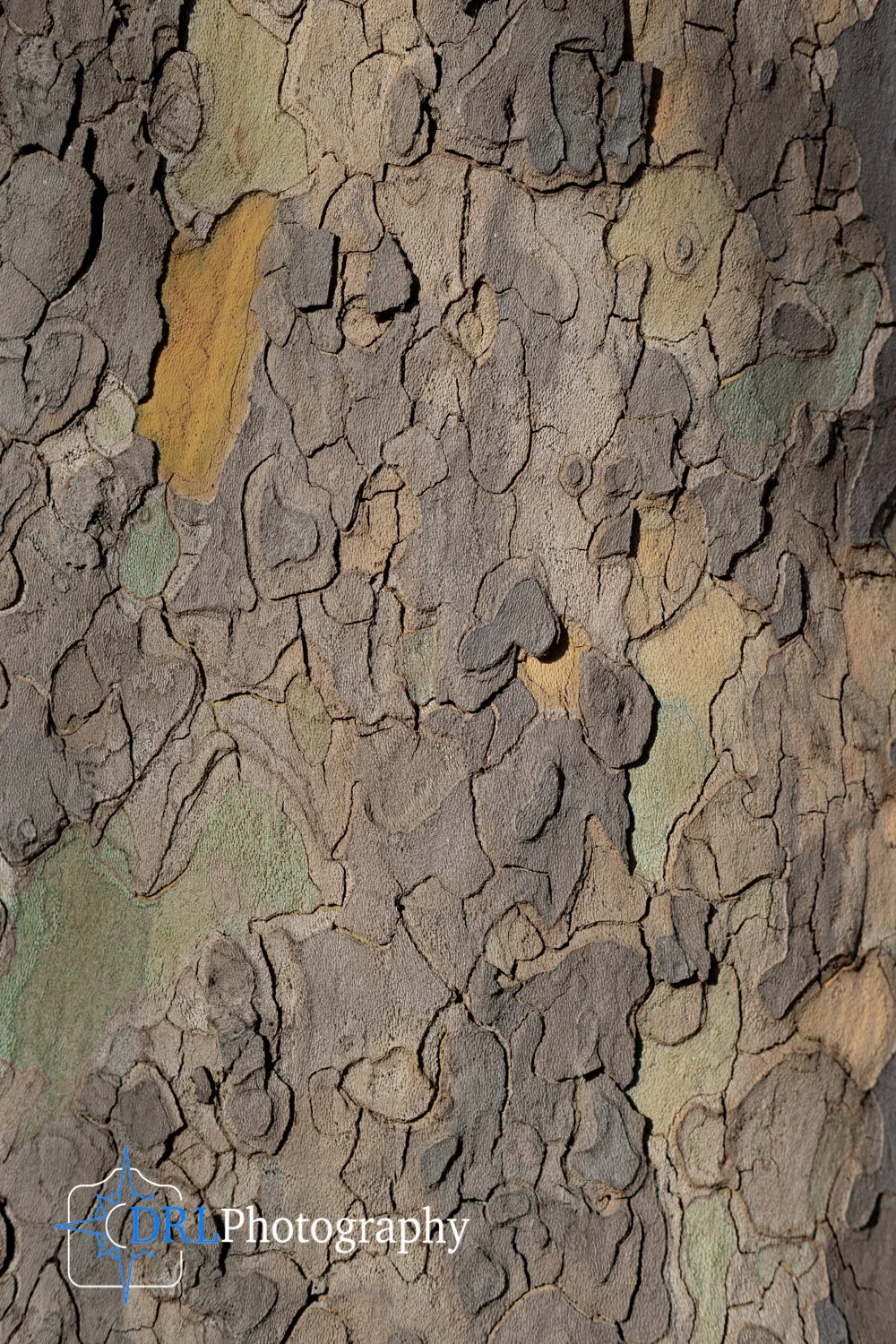 _90I9376.jpg