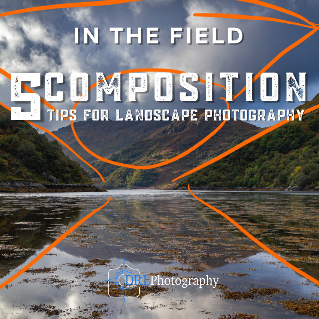 5 Composition Tips For Landscape Photography In The Field