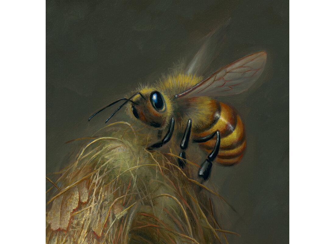 queen-bee-5.jpg