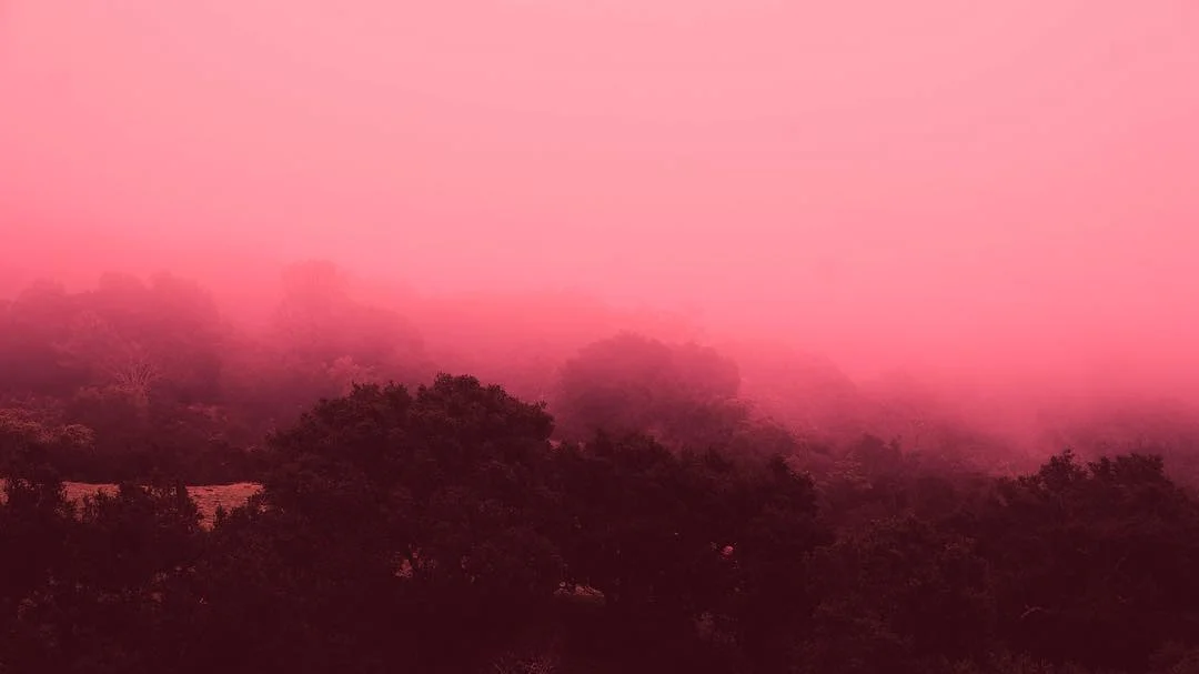 27368855_10213291773221625_4916319225219371657_o.jpg