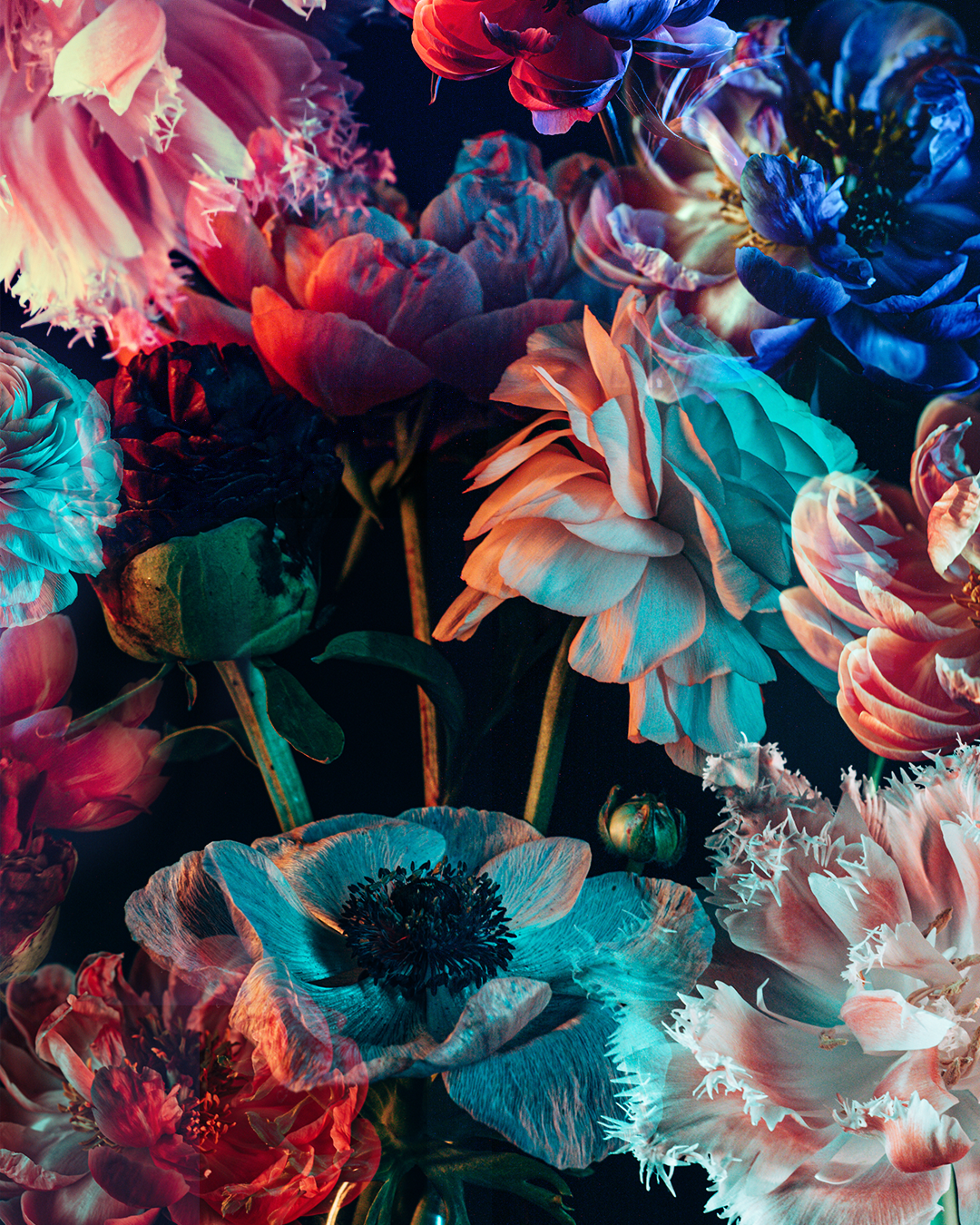 FLOWERS_WALL_V1.png