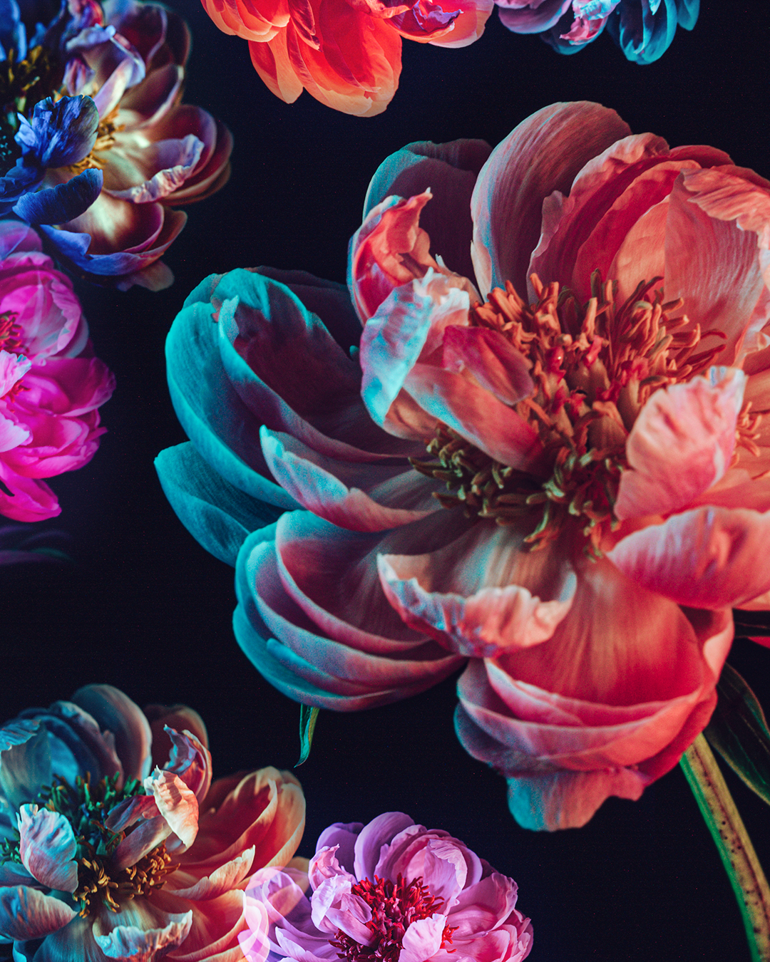 FLOWERS_WALL_V3.png