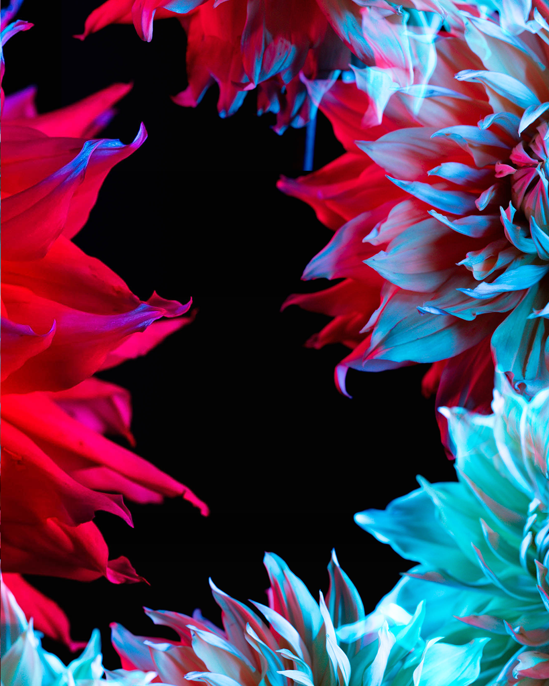 FLOWER_4_A.png