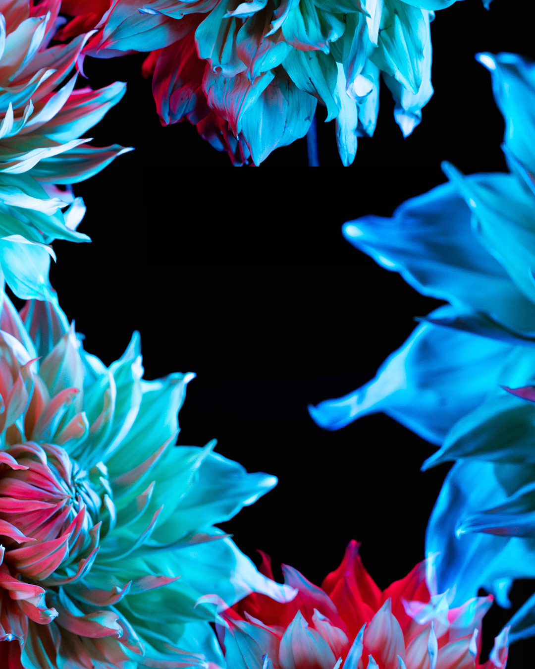 FLOWER_4_C.png