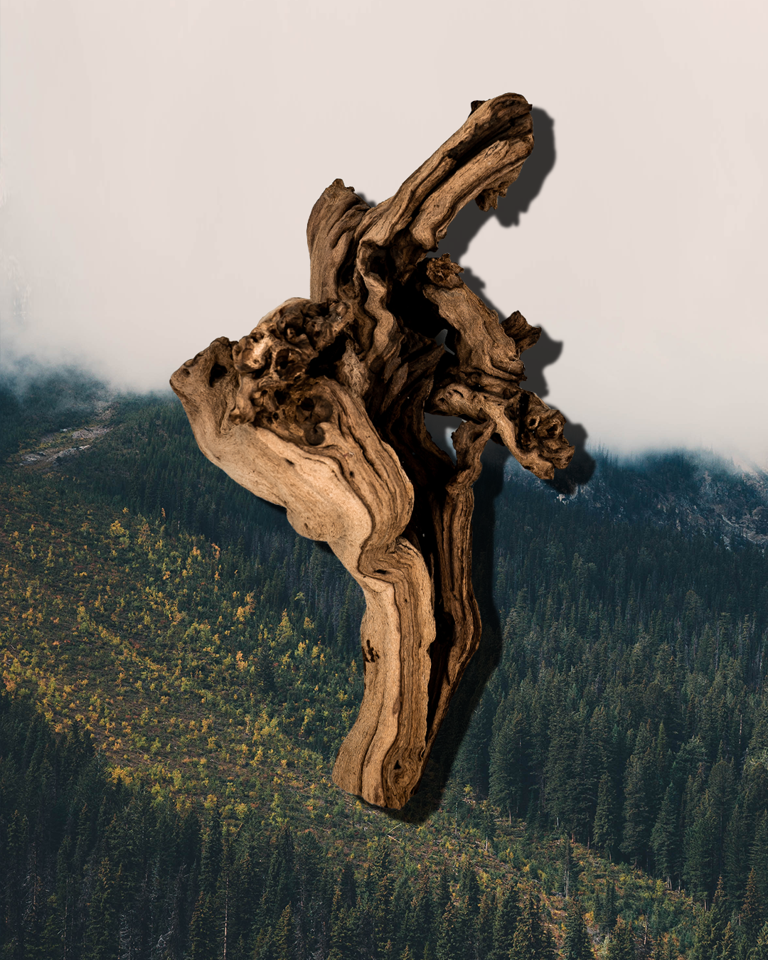 LO_WOOD_v3.png