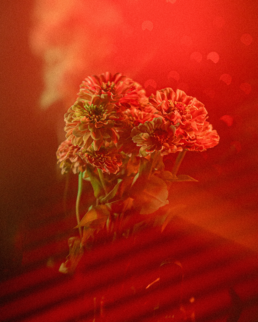 090624_FLOWEERS_8.png