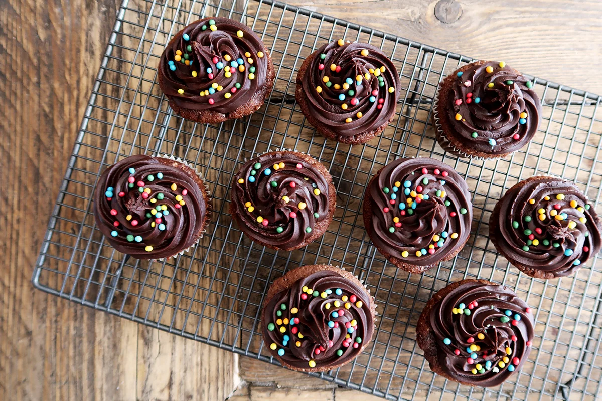 chocolate cupcakes.jpg