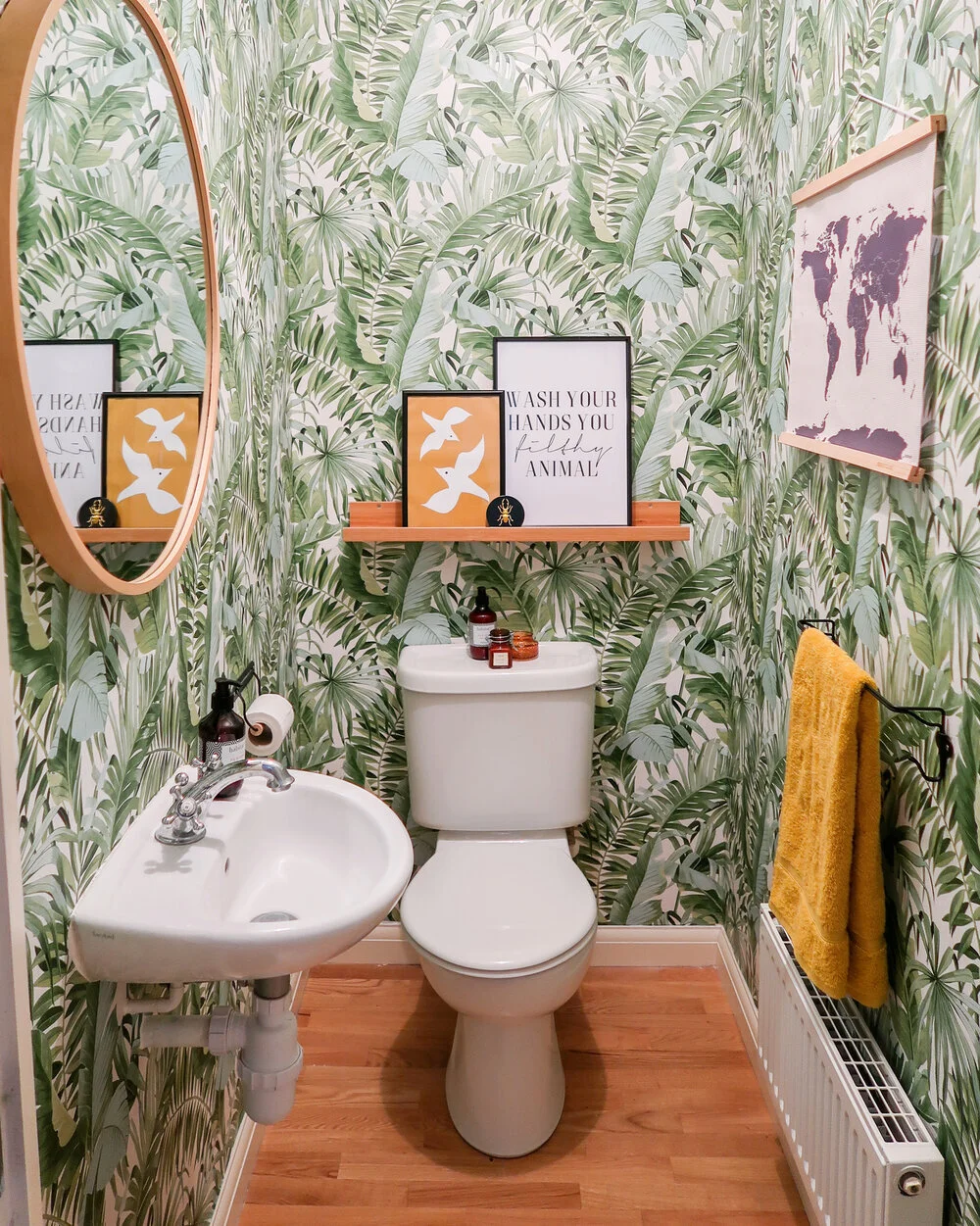 Our Jungle Toilet Tour: Before and After