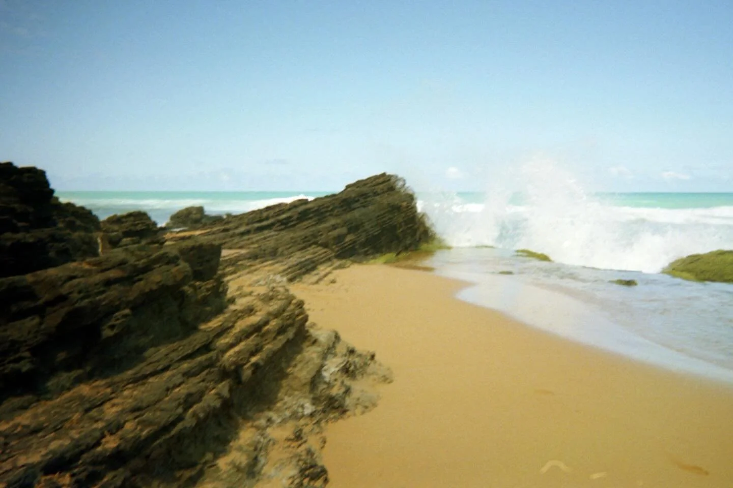 Oh yeah, took a disposable film camera to PR

#puertorico #8monthslater #tb