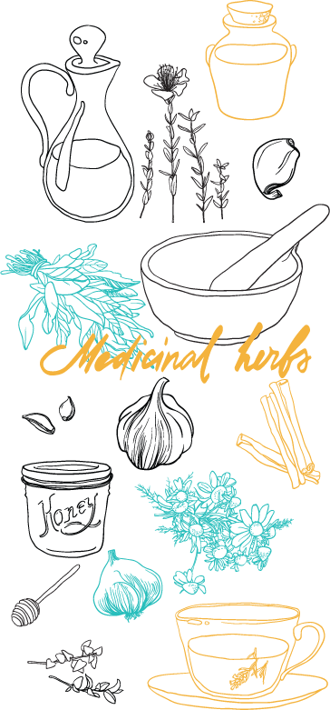 vintage_herbs-a7b9a24fad112d373f70ce4fb553478b.png