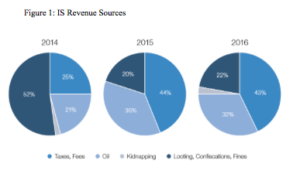 Figure 1: IS Revenue Sources