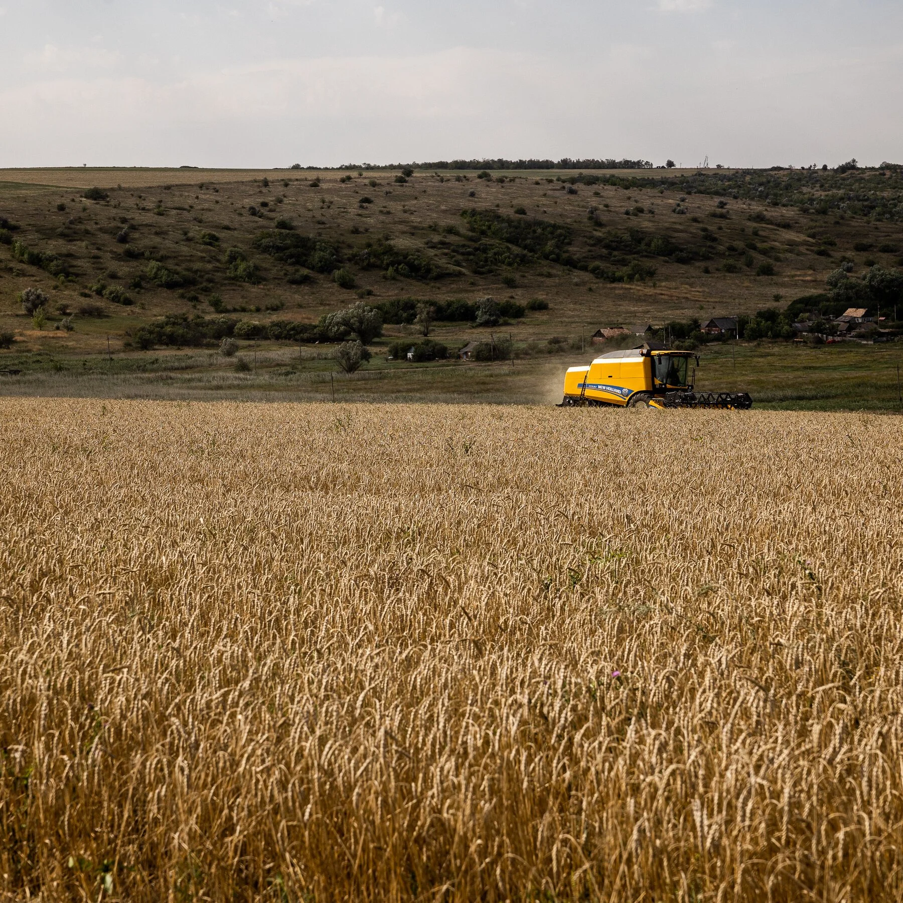 Crumbs in the Breadbasket: A Global Food Crisis on the Horizon