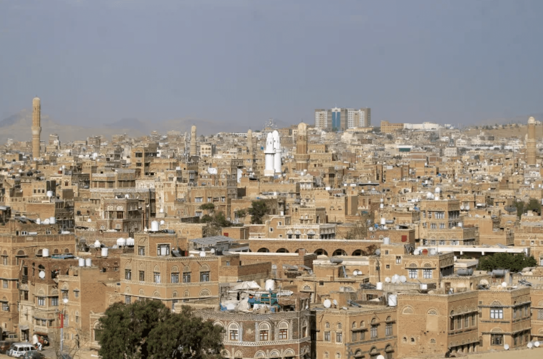 Social Media in the Middle East: A Double-Edged Sword 