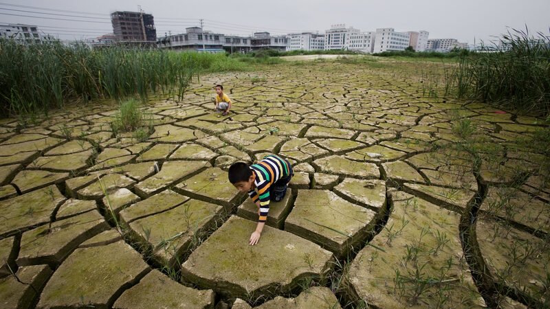 The Future of Climate Policy for Brazil and the United States after Bolsonaro and Trump