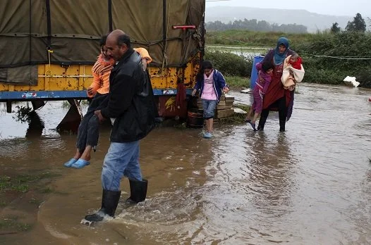 From False Promises to Pioneering Leadership: Climate Policy in MENA