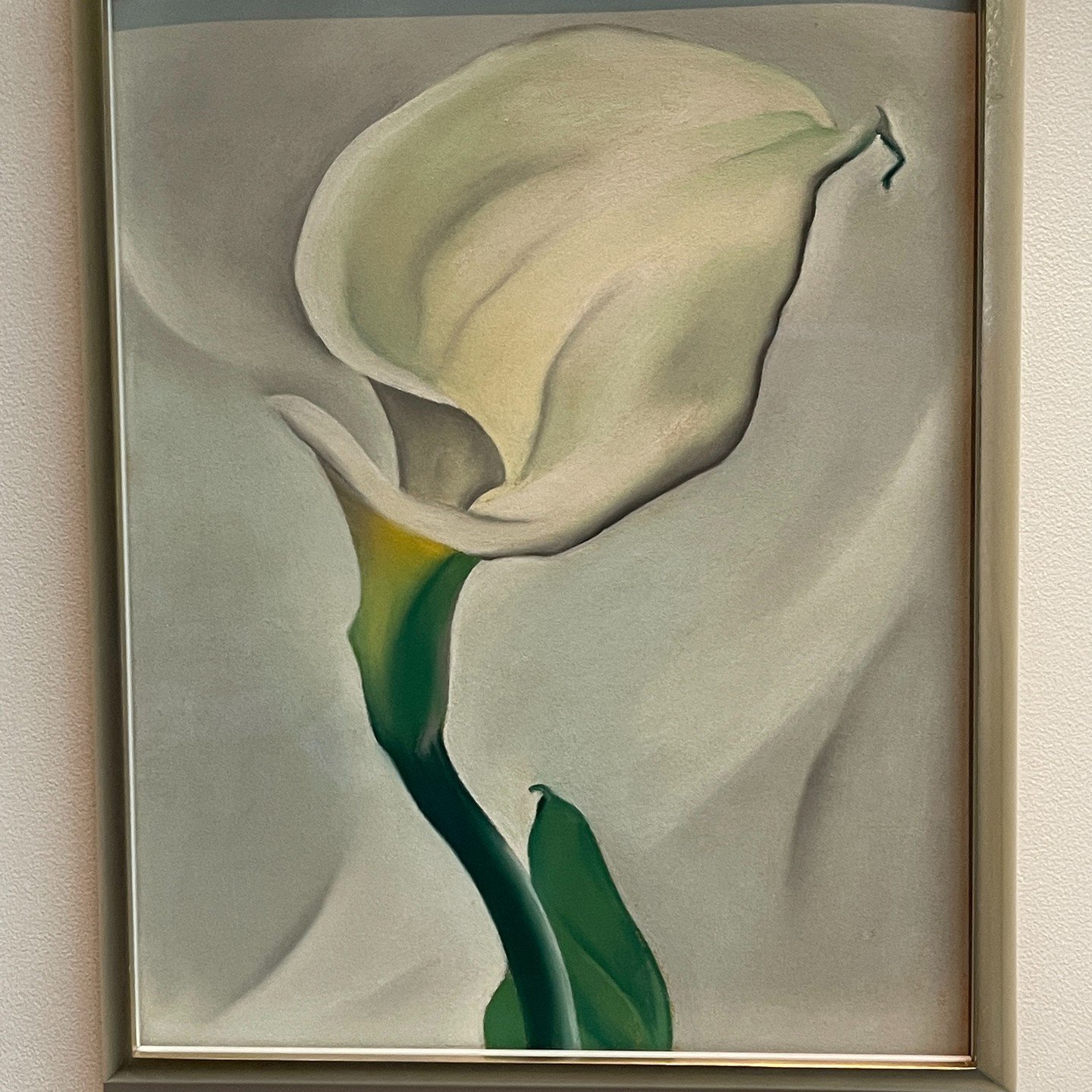 Finally got to visit the Georgia O'Keefe Museum in Santa Fe, NM.