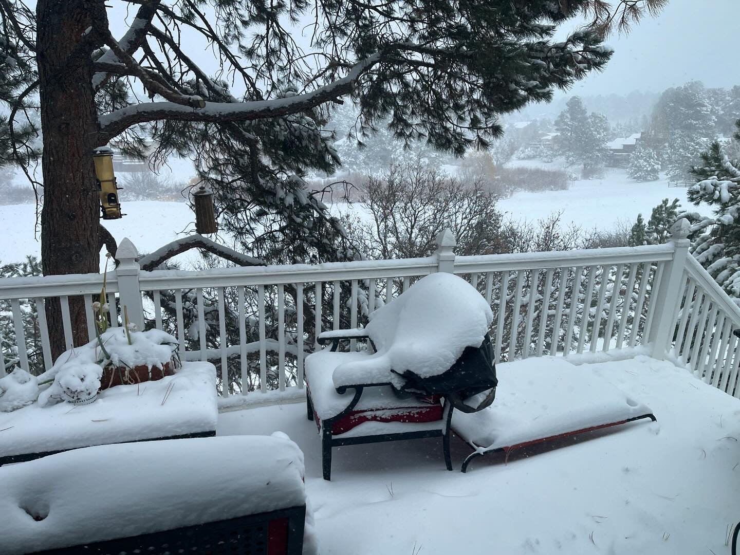 First snow storm of the season.  Seems appropriate with the events of the past 24 hours.