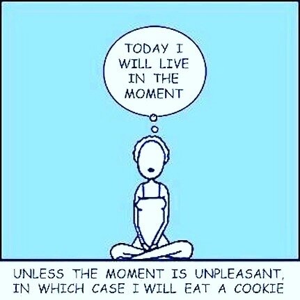 Sometimes you just need to eat the cookie 🍪....and that's ok.

Have a beautiful day all you Rainbow 🌈 Souls! 

#liveinthemoment #letitgo #eatacookie #cookiesmakeeverythingbetter #spiritualmemes #rainbowsoulcollective