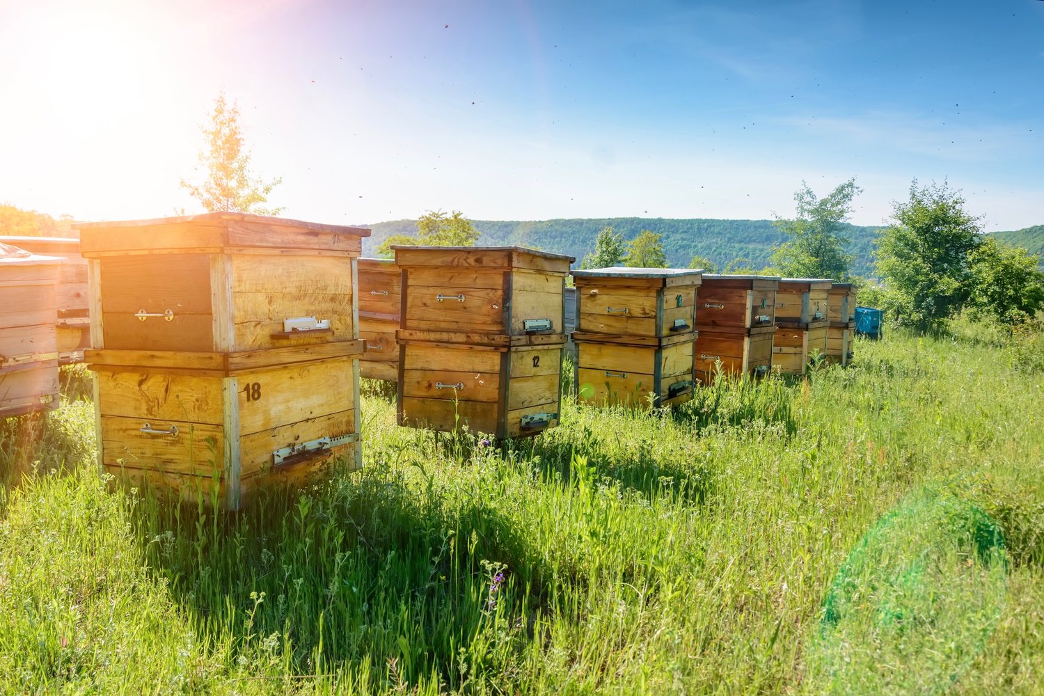 Hawai'i Beekeepers' Association