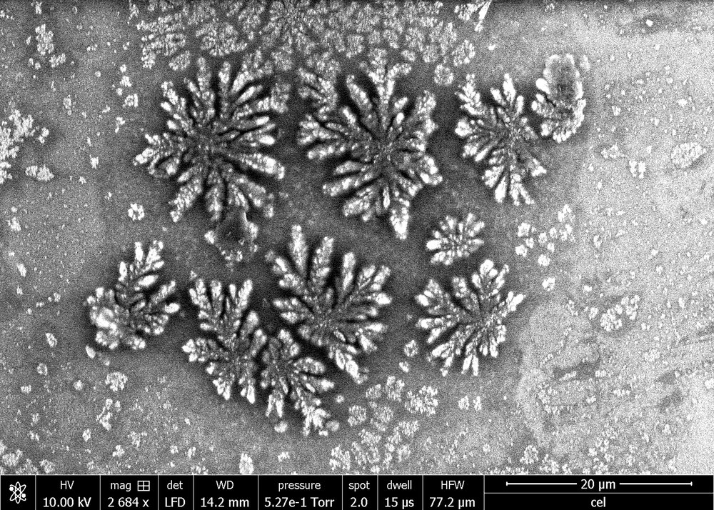 Celadon Glaze (x2684 magnification)