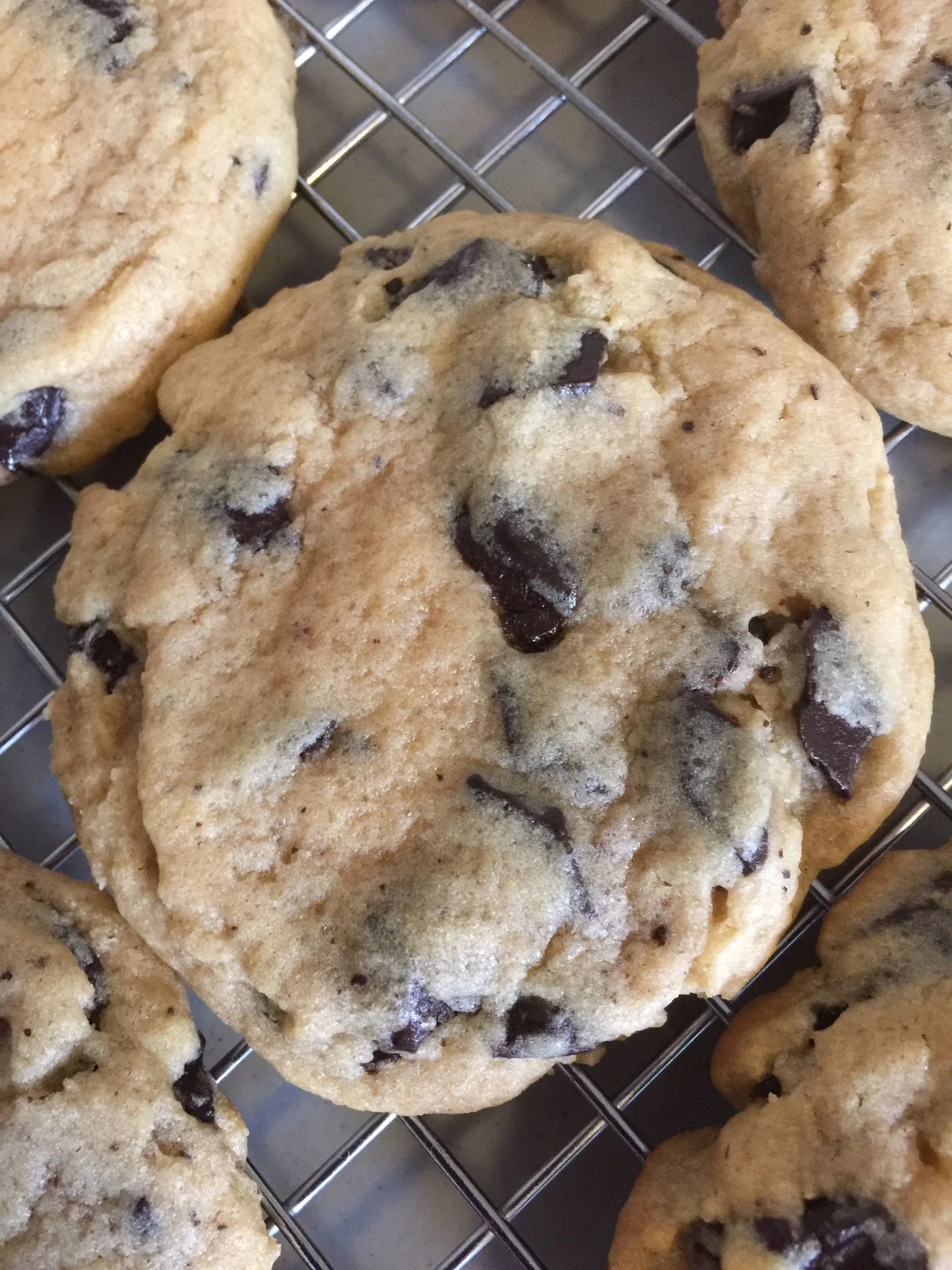 Chocolate Chunk Cookie