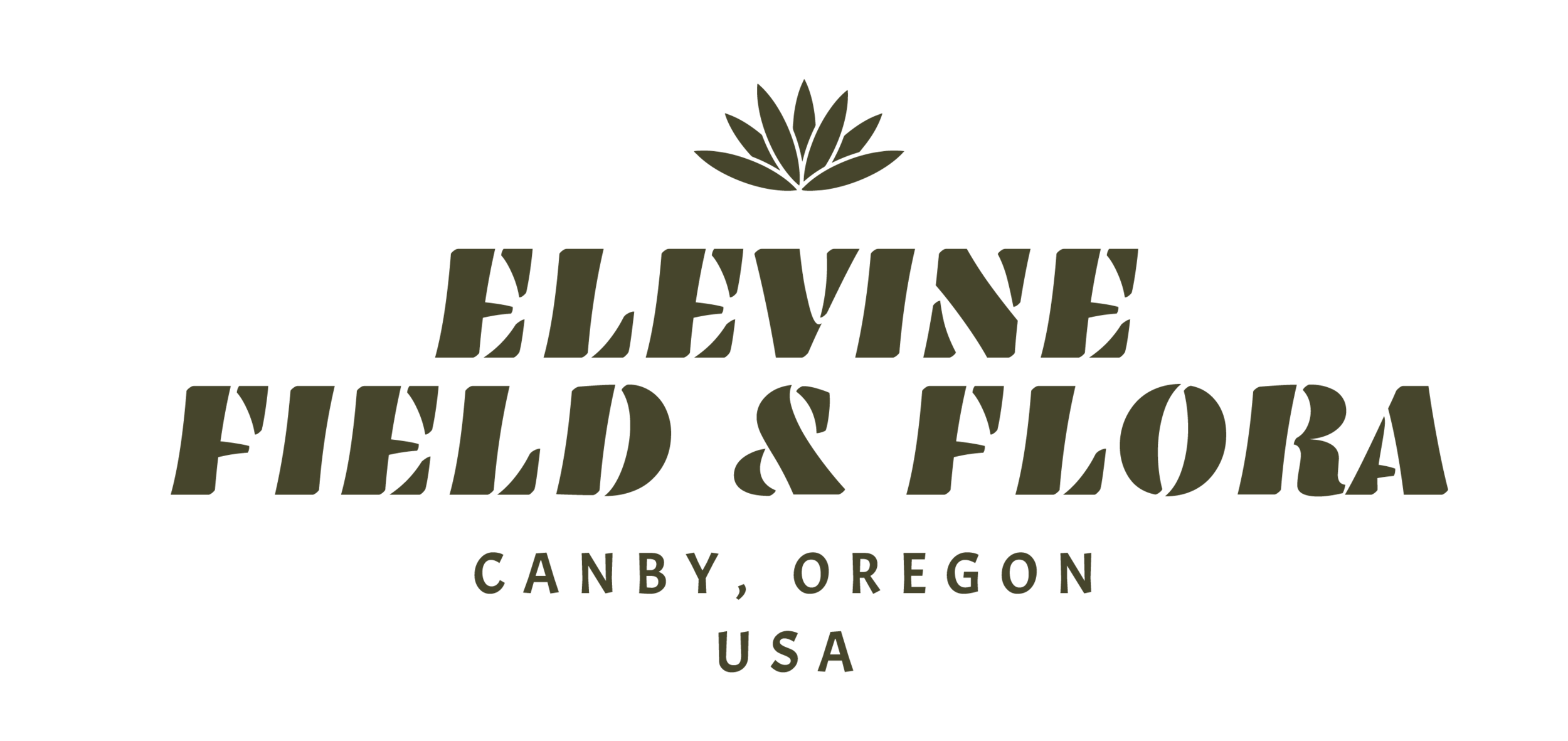 Elevine Field