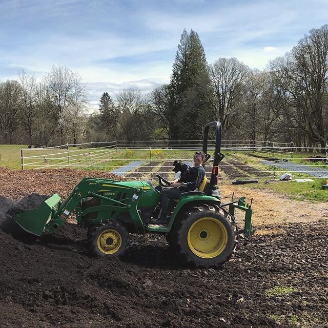 Times are tough, but we are still very fortunate! Look at @sarahcarrtattoos moving compost with her baby, Georgie. @jessieusie in the background planting snapdragons. This is surely a sign we are getting closer to homesteading. #compoundlifestyle